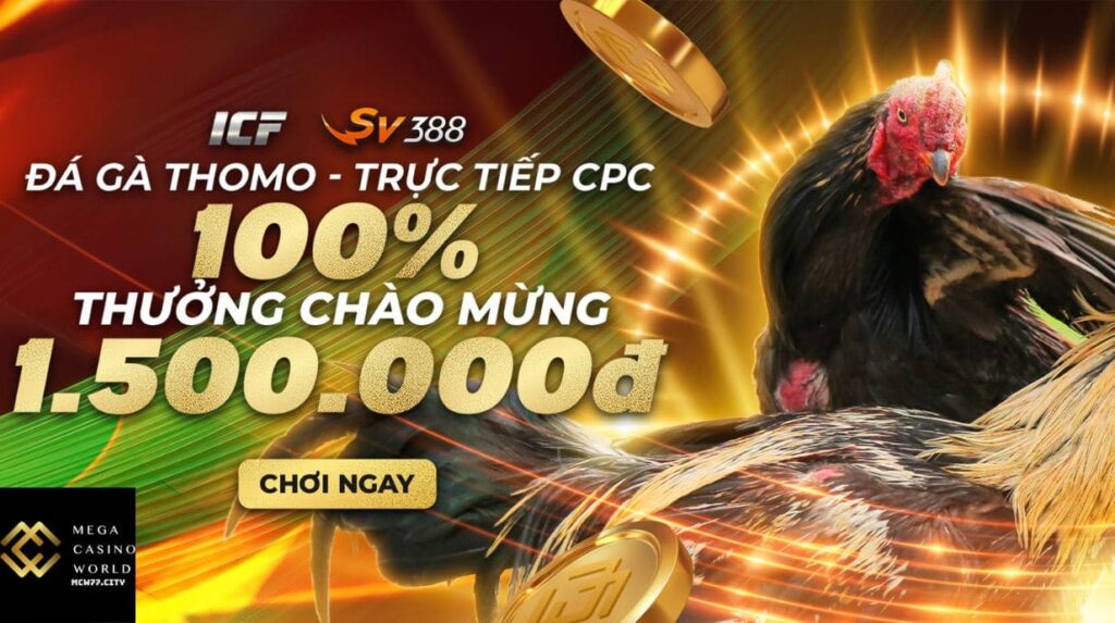 Những chiến thuật đá gà MCW77 giúp bạn thắng lớn